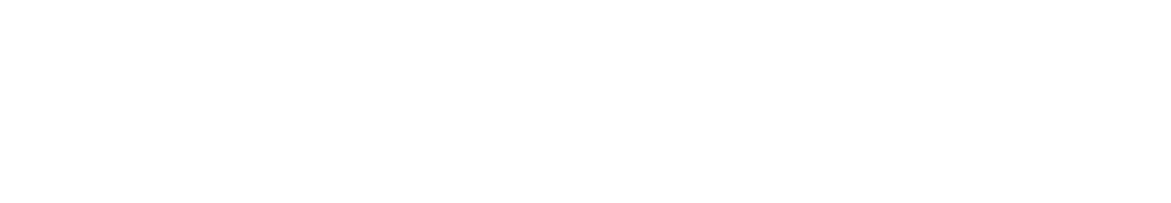 НетоТермінал НетоТермінал